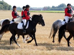 577075_10151090366958585_927727726_n